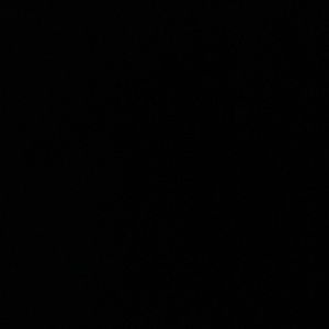 Meet your Posher, Viki